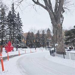 Gage Park - Skating Trail